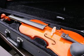 Violin Stringed