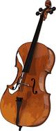 cello stringed instrument
