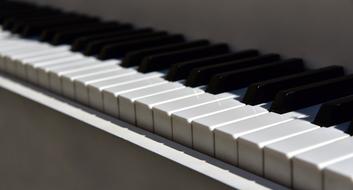 photo of black and white musical instrument keyboard