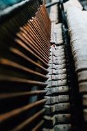 photo of keys in an old piano