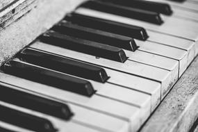 black and white macro photo of piano keys