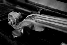 monochrome photo of the top of the violin