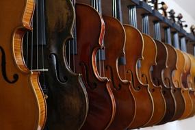 Violin Fiddle wood