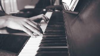 Piano Keyboard Black And White hands