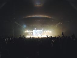 Concert Crowd