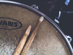 Broken Drumstick Close-Up