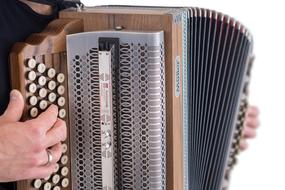 traditional Accordion musical Instrument