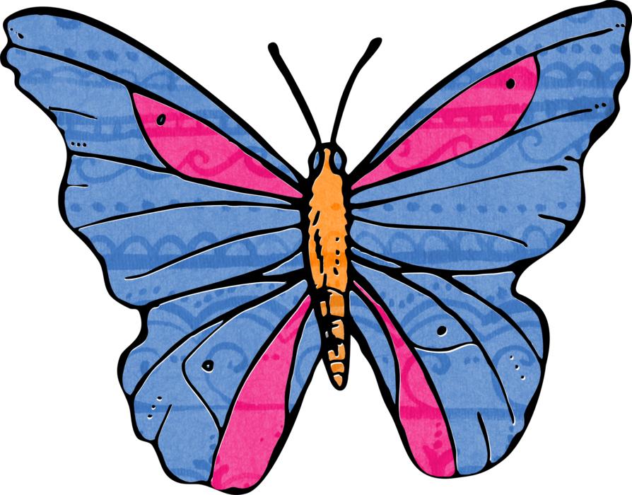 painted blue pink butterfly