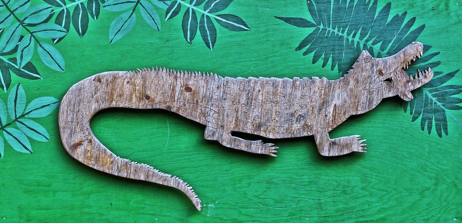 Lizard Reptile ert work