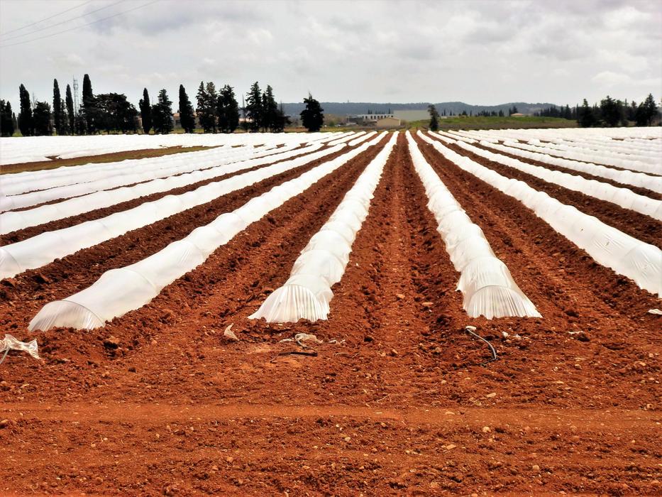 Agro-Industry Earth Field
