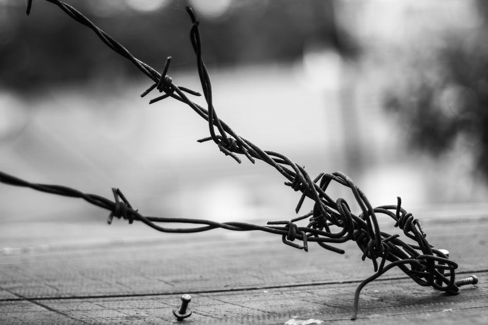 The Depth Of The Prison Wire
