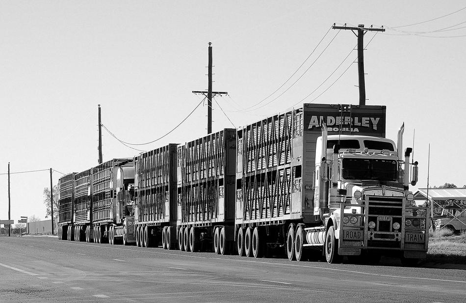 Road Train Semi black and white