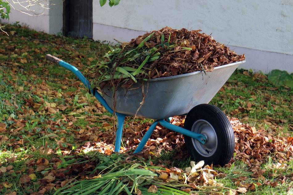 Wheelbarrow with colorful leaves in autumn