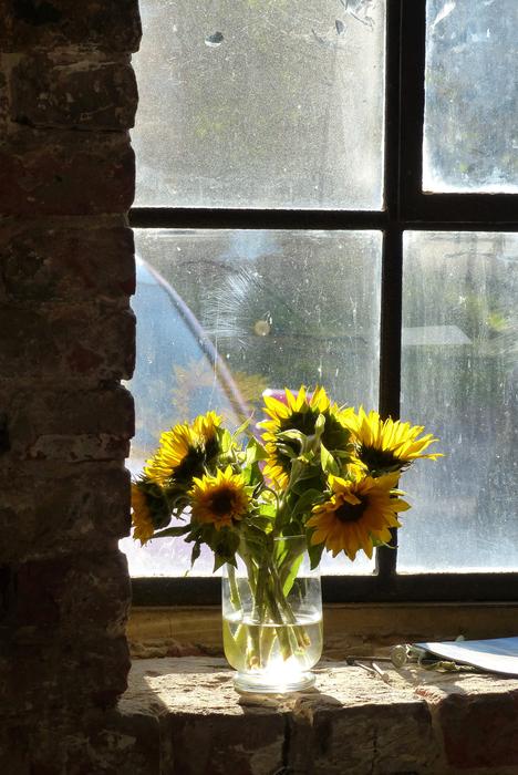 Backlighting Yellow flowers