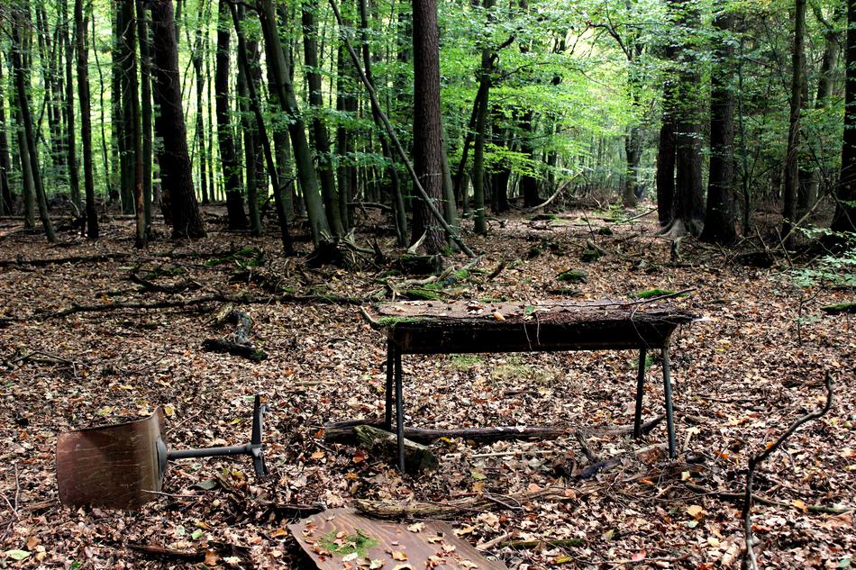 old office furniture in the forest