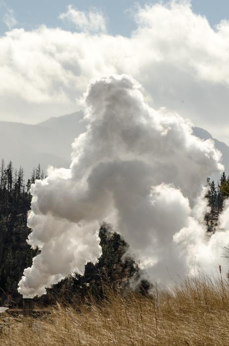 Smoke from Sawmill Smokestack in front of forest