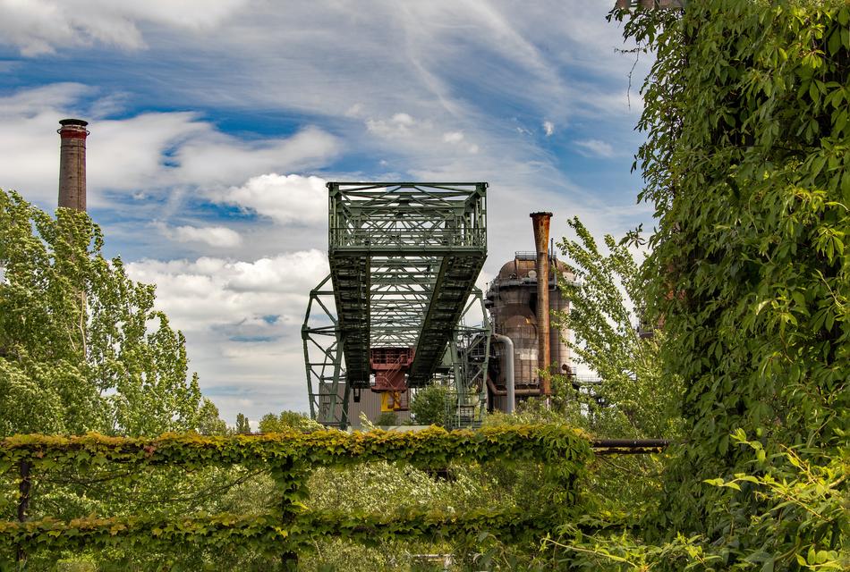 Industrial Park tree
