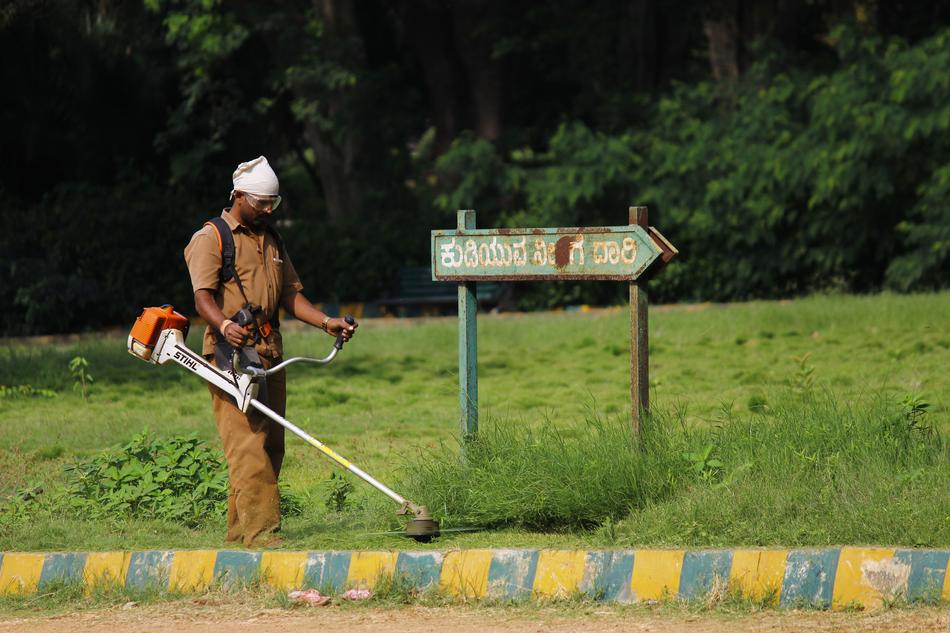 Indian Worker in garden