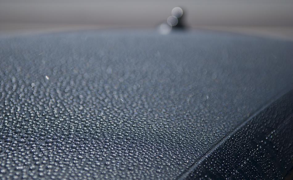detailed photo of Waxed Car Vehicle