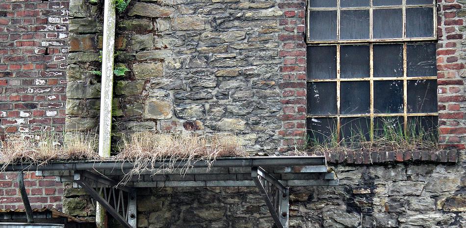 dry grass on the facade of an abandoned factory
