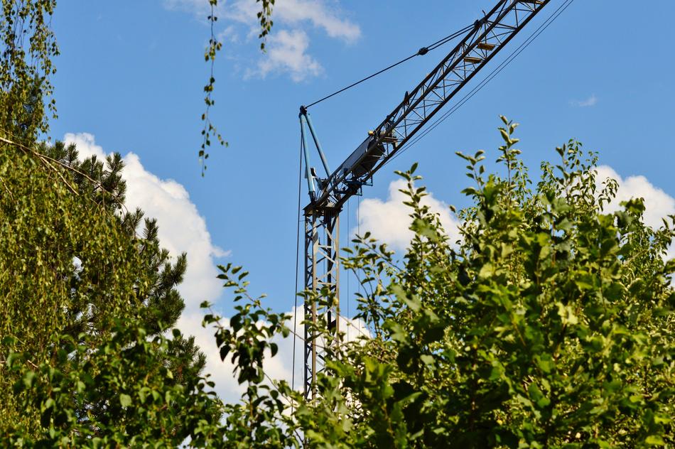 cargo crane behind green trees