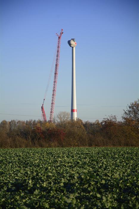 windmill on a field with green plants
