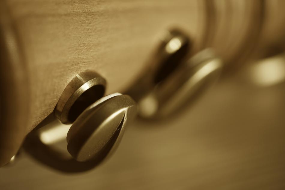 Close-up of the beautiful, shiny valves of the flute