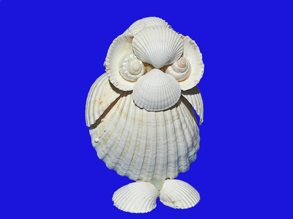 owl made of white seashells on a blue background