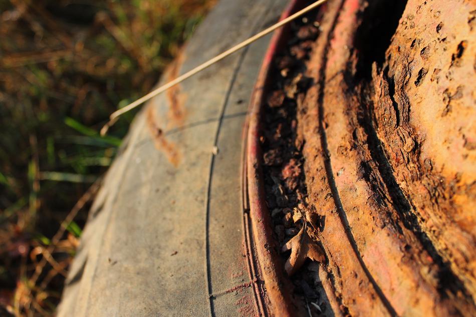 Close-up of the rusty metal wheel, among the colorful plants