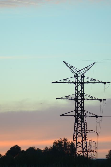 trees near high voltage lines twilight