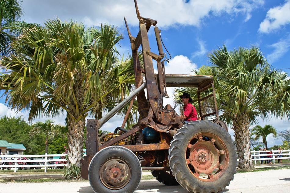 Person in the rusty tractor on the road with fence, near the colorful and beautiful palm trees