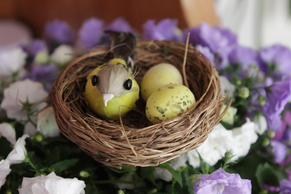 bird's nest as decoration on flowers