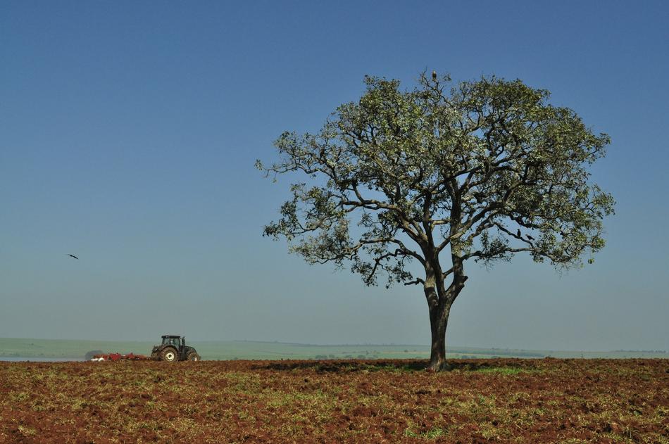 Tractor with attachment on Field, brazil, sao paulo