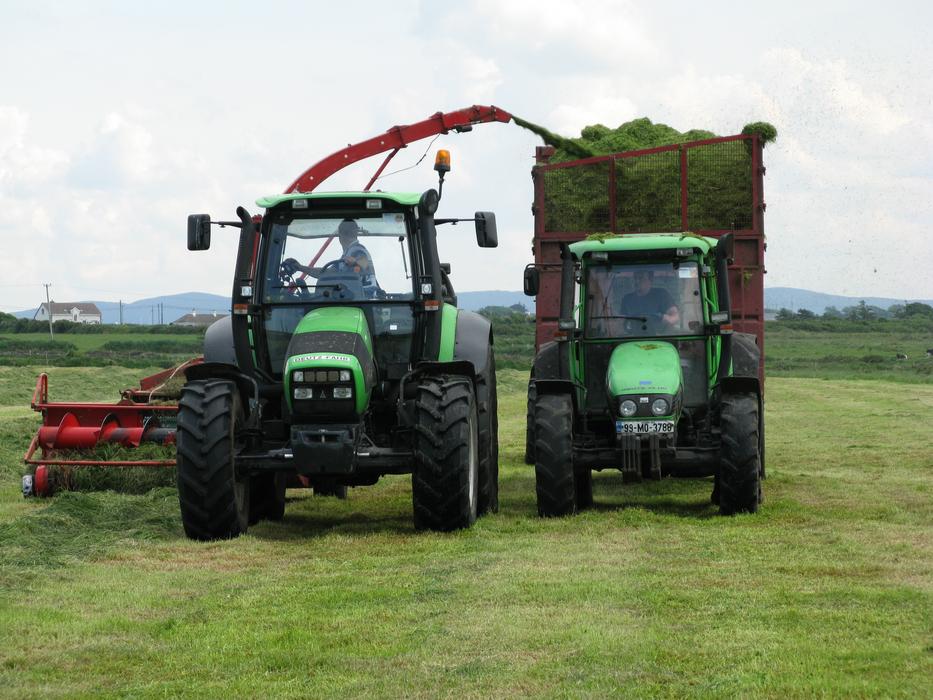 Forage harvester at work