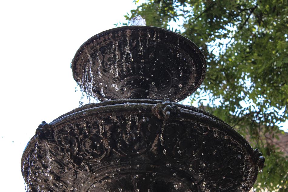 fountain under the tree, bottom view