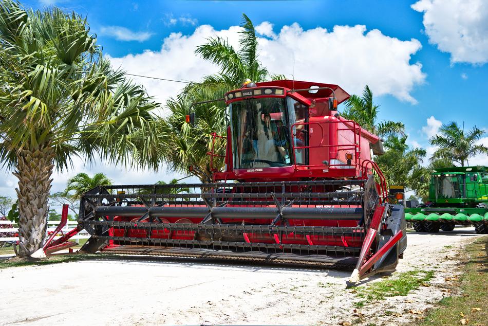 Red and green combines on the sand path, among the green palms on the beautiful landscape