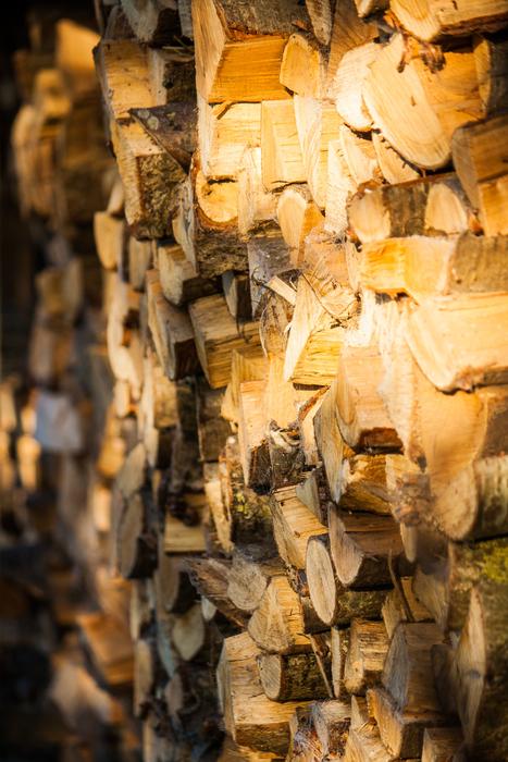 stacked firewood in the shade