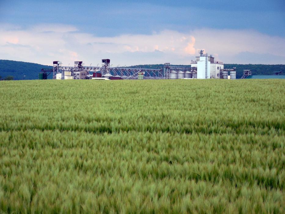 factory at the end of a field with green plants