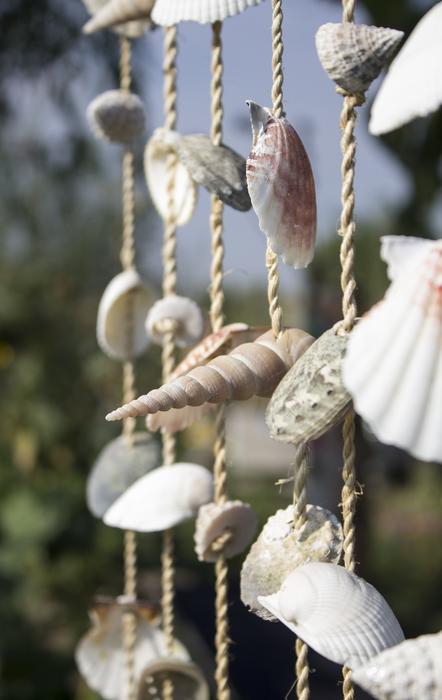 decoration of seashells on blurred background