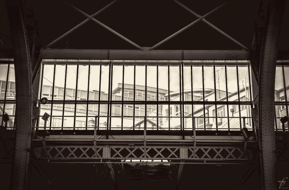 metal grill on the window in the building
