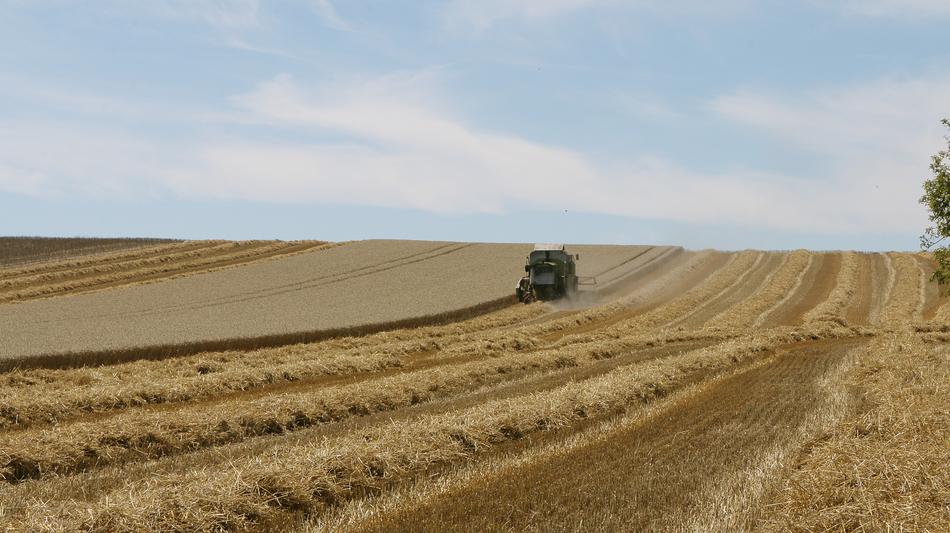 harvesting on a field on a sunny day