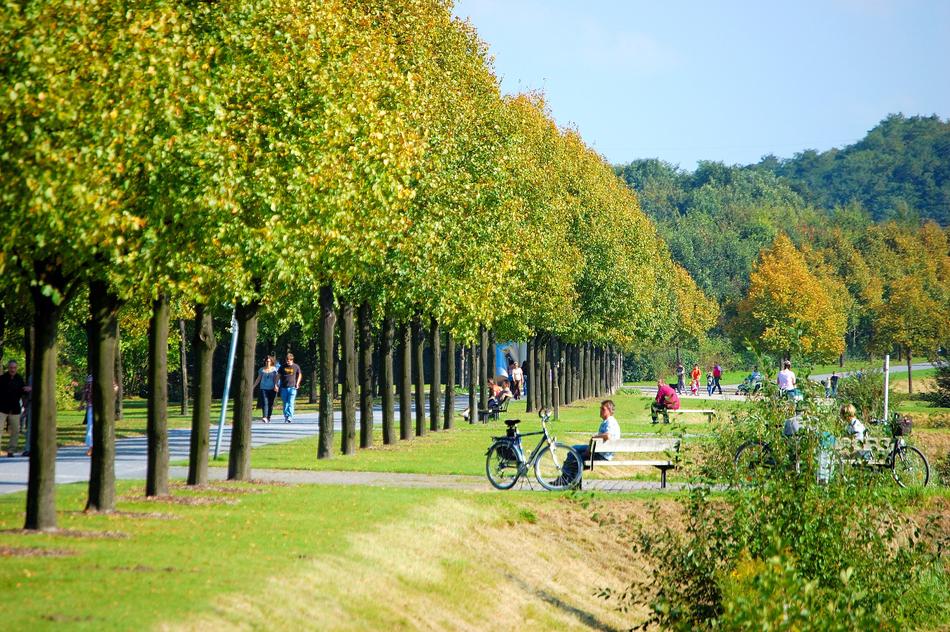 People in the beautiful and colorful Nordsternpak, with the trees, in Gelsenkirchen, Germany