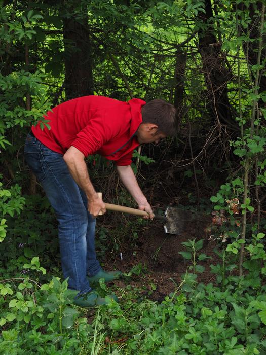 man Digs soil in forest