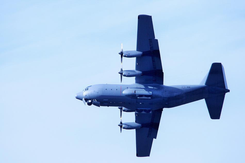 Flying, shiny, blue