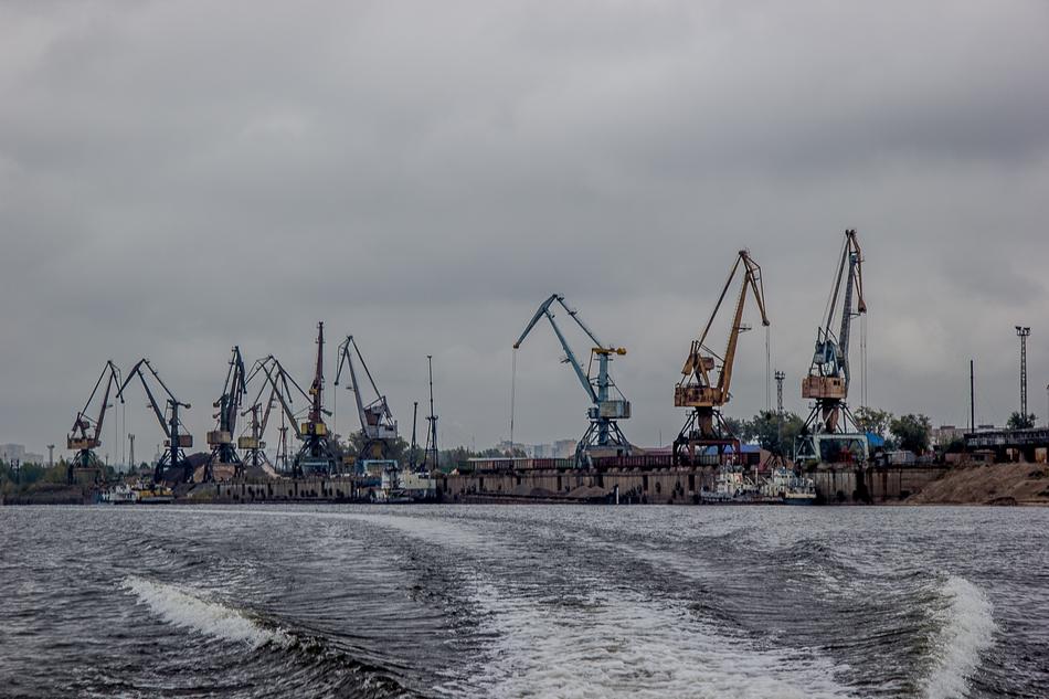 cranes on the shore in cloudy weather