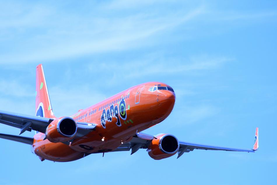 Colorful, shiny, flying