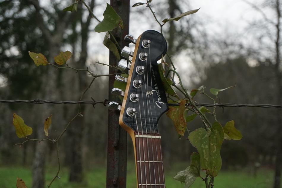 electric guitar in nature on a blurred background