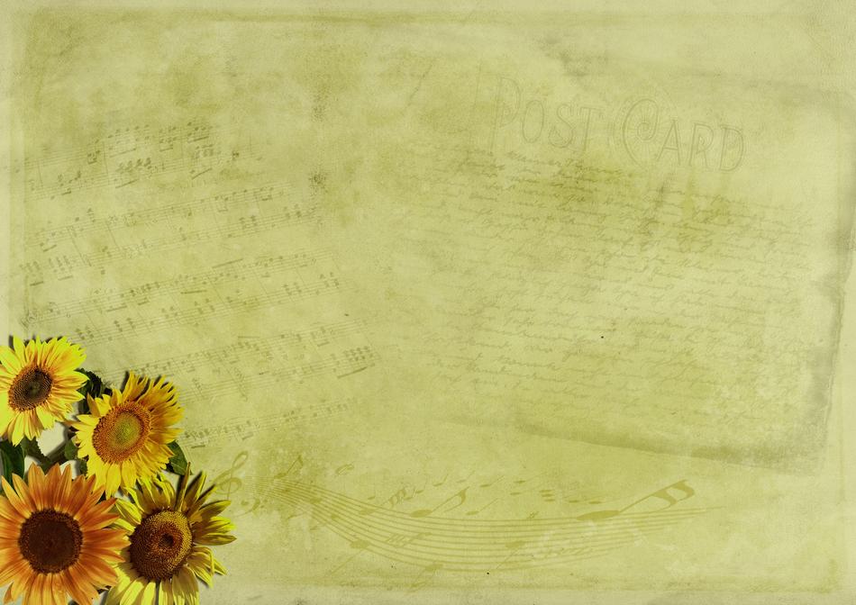 yellow Flowers at music sheet, vintage Background