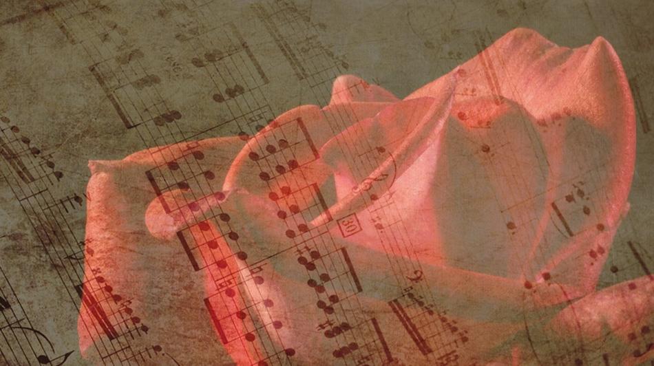 Beautiful, transparent red rose at background with vintage music sheet