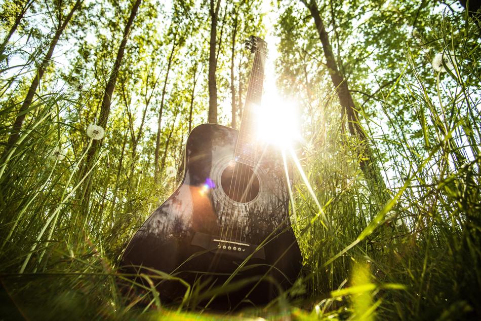 Acoustic Guitar Musical in forest